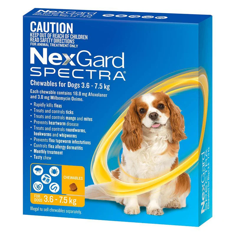 NexGard Dog SPECTRA | Flea, Heartworm, Flea, Tick, Intestinal Worm, and Mite Protection