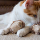 Feline Frenzy Mama and Chip Set