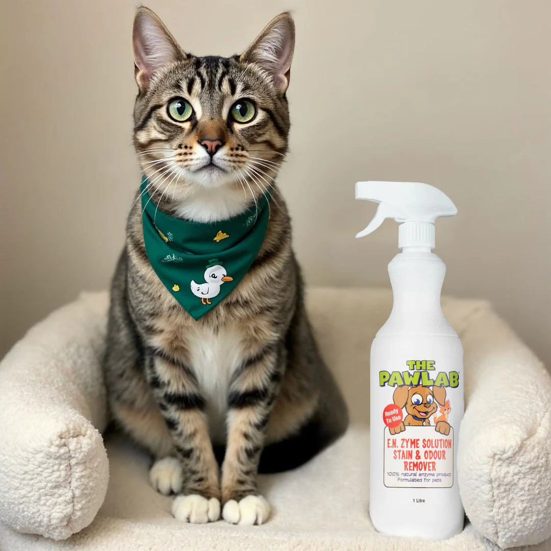 PetLab 尿渍和异味去除剂 1L