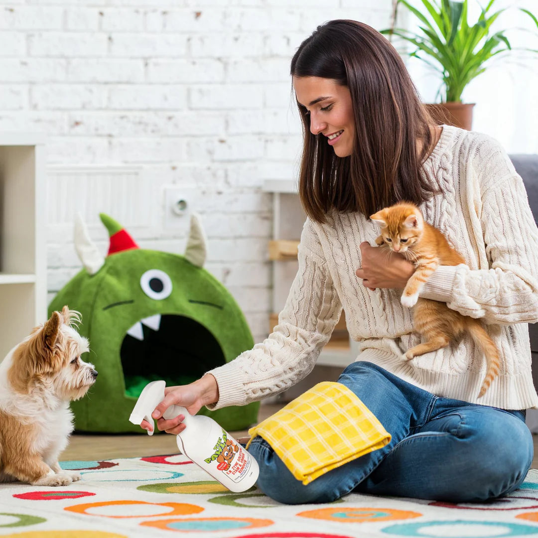 PetLab 尿渍和异味去除剂 1L