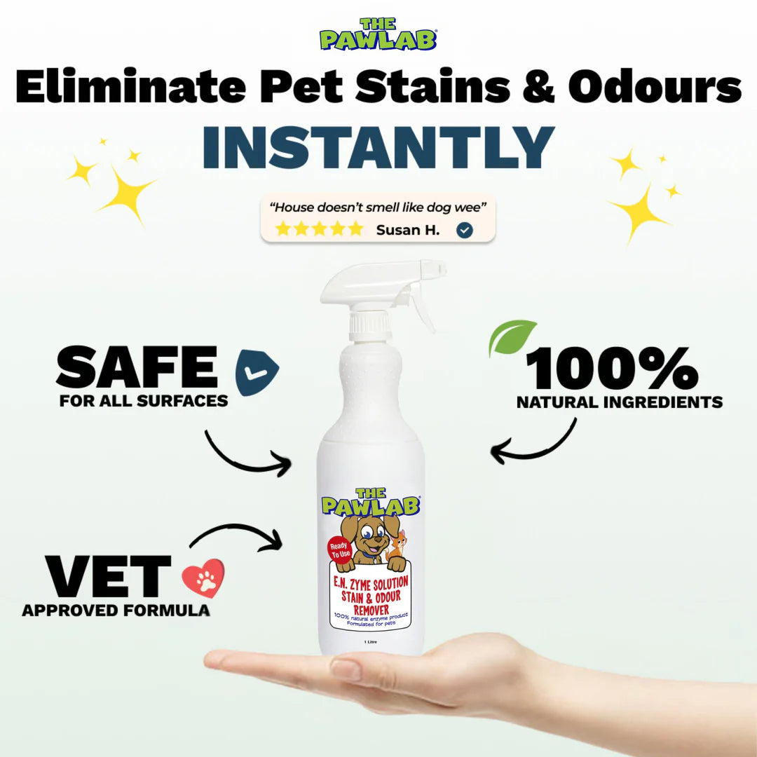 PetLab 尿渍和异味去除剂 1L