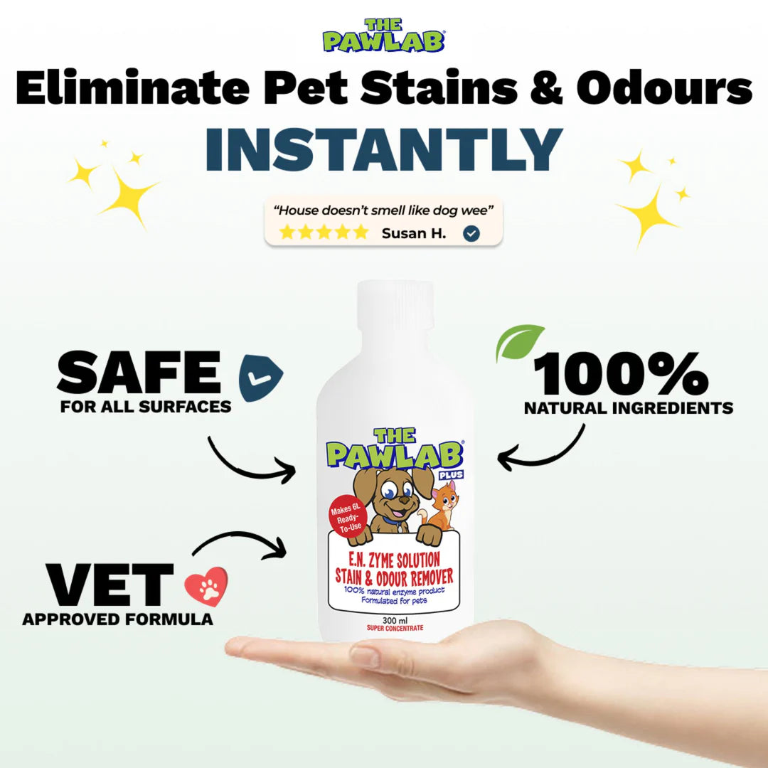 PawLab PLUS™ Urine Stain & Odour Remover | Super Concentrate 300ml (Makes 6L)