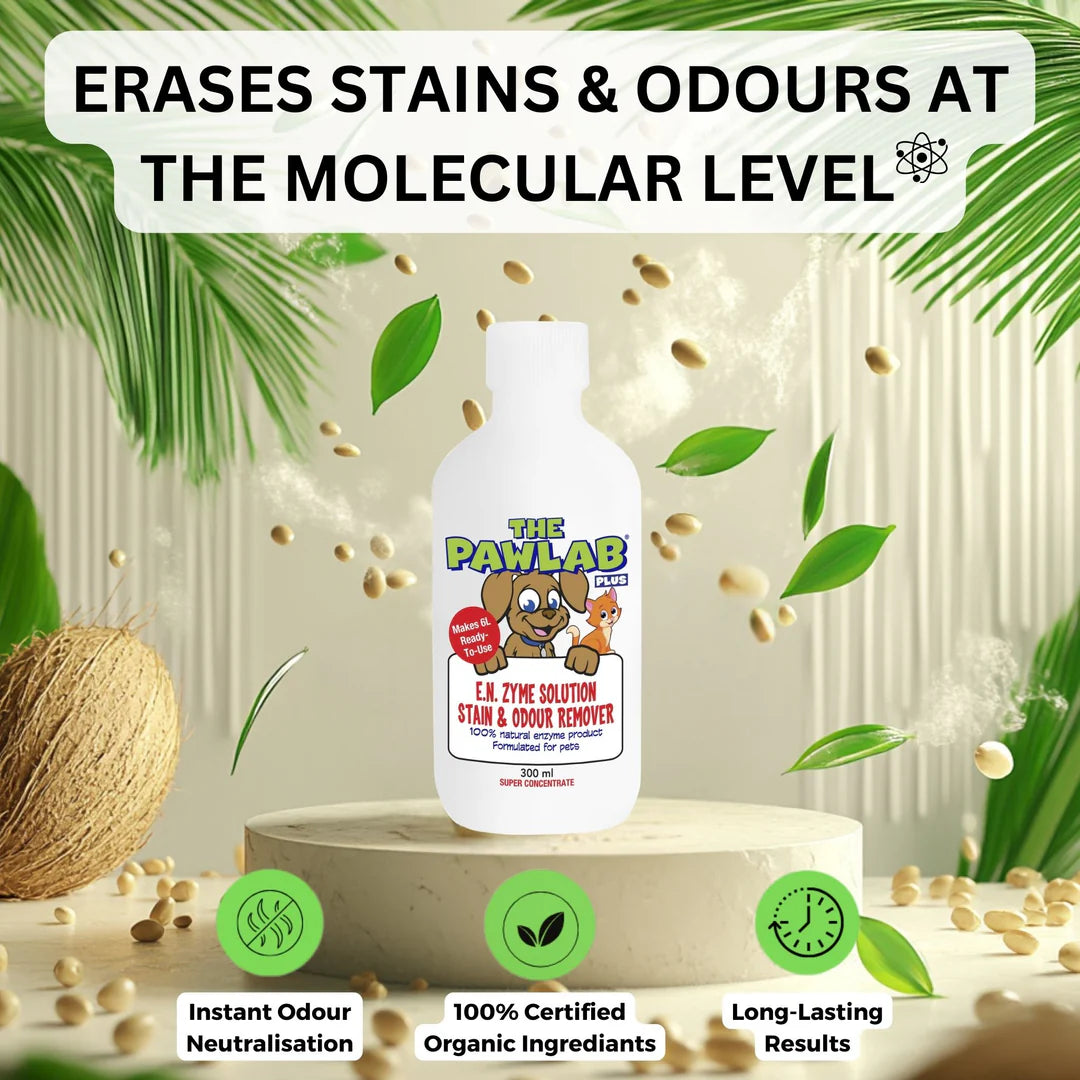 PawLab PLUS™ Urine Stain & Odour Remover | Super Concentrate 300ml (Makes 6L)