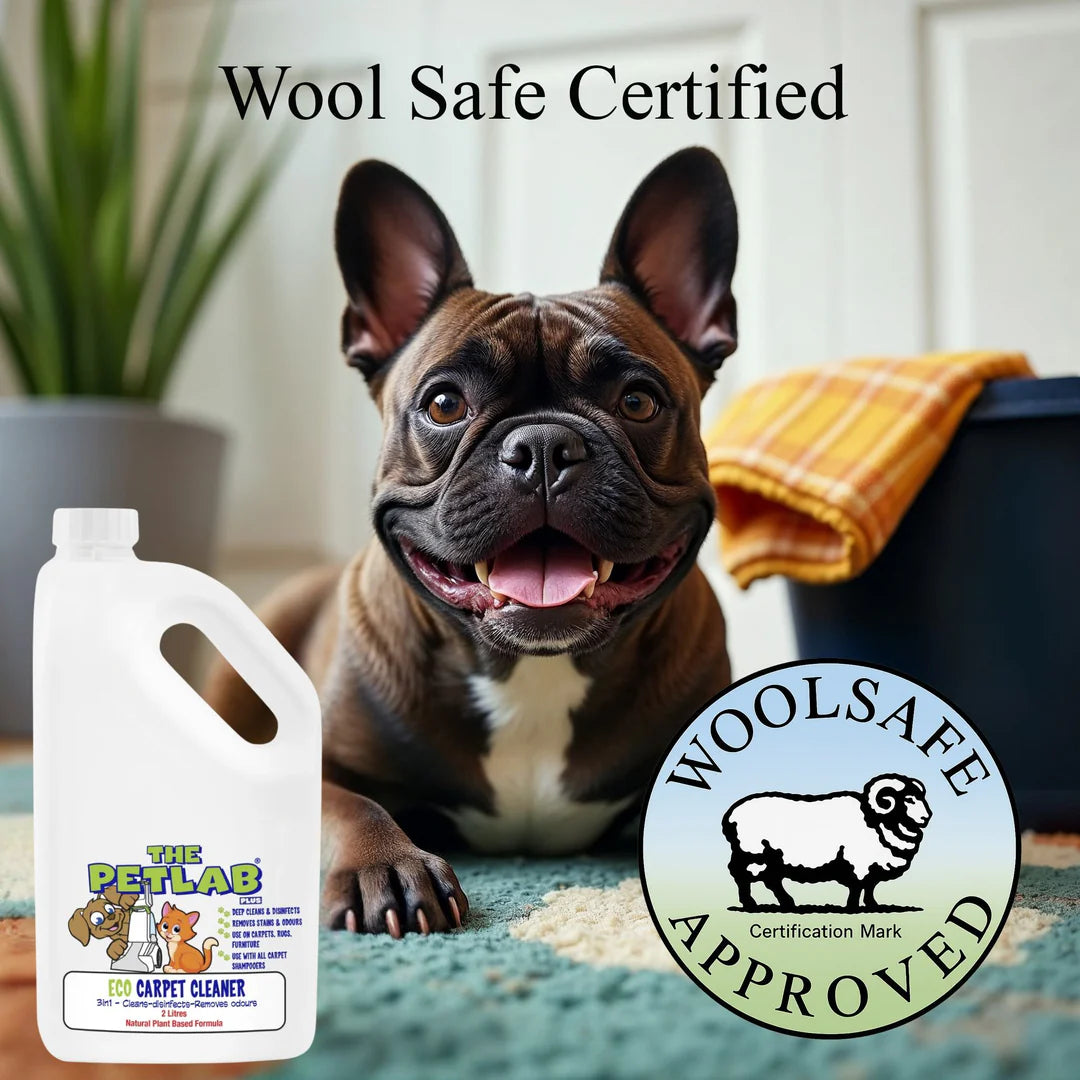PawLab 2L Carpet Cleaner Shampoo