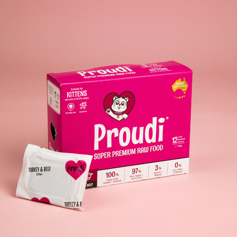 Proudi Cat Kitten Turkey & Beef