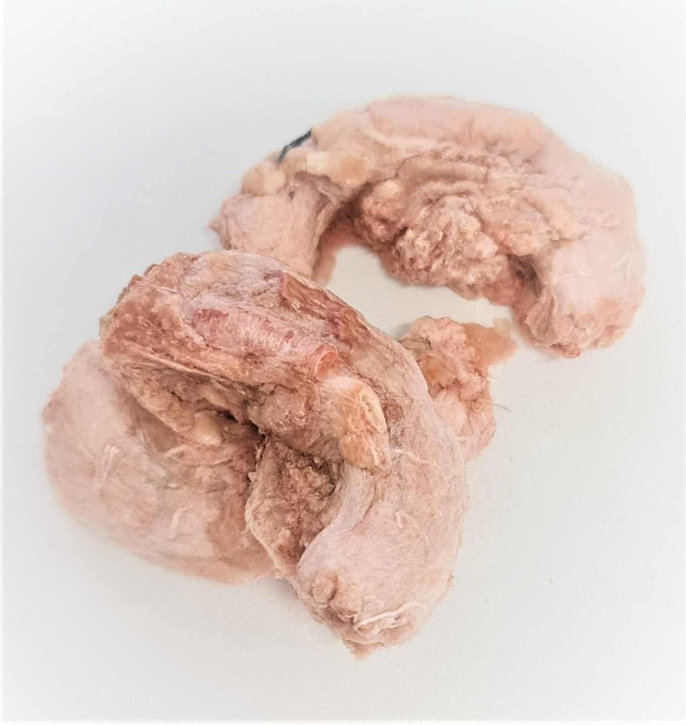 Freeze shop dried quail