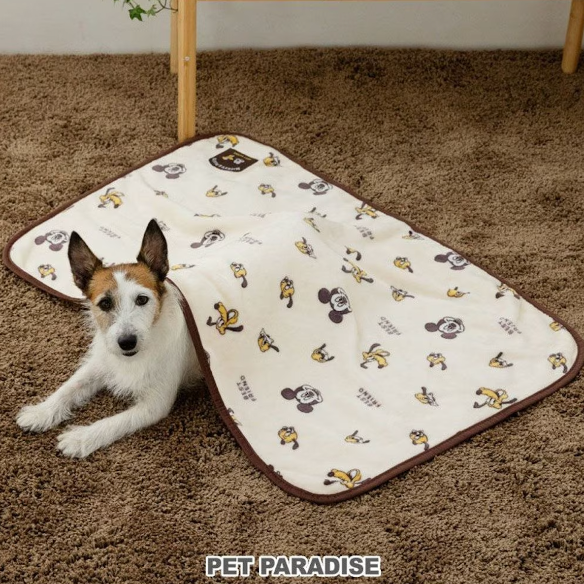 Disney Pluto Mickey Dog Blanket (90 x 60 cm) for Winter | Mickey Soft, Insulated, Warm, Cold Protection, Cold Protection, Stylish, Cute