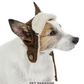 Dog clothes, winter, flight hat, boa, small and medium-sized dogs | Ranked #1, autumn and winter, warm, cute, cool, hat