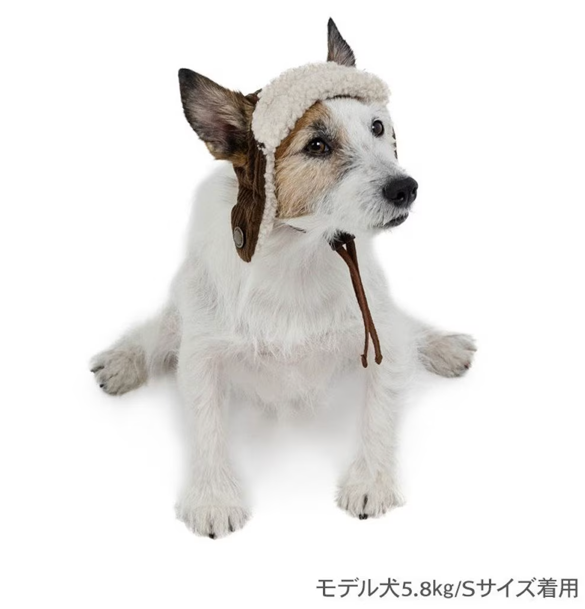 Dog clothes, winter, flight hat, boa, small and medium-sized dogs | Ranked #1, autumn and winter, warm, cute, cool, hat