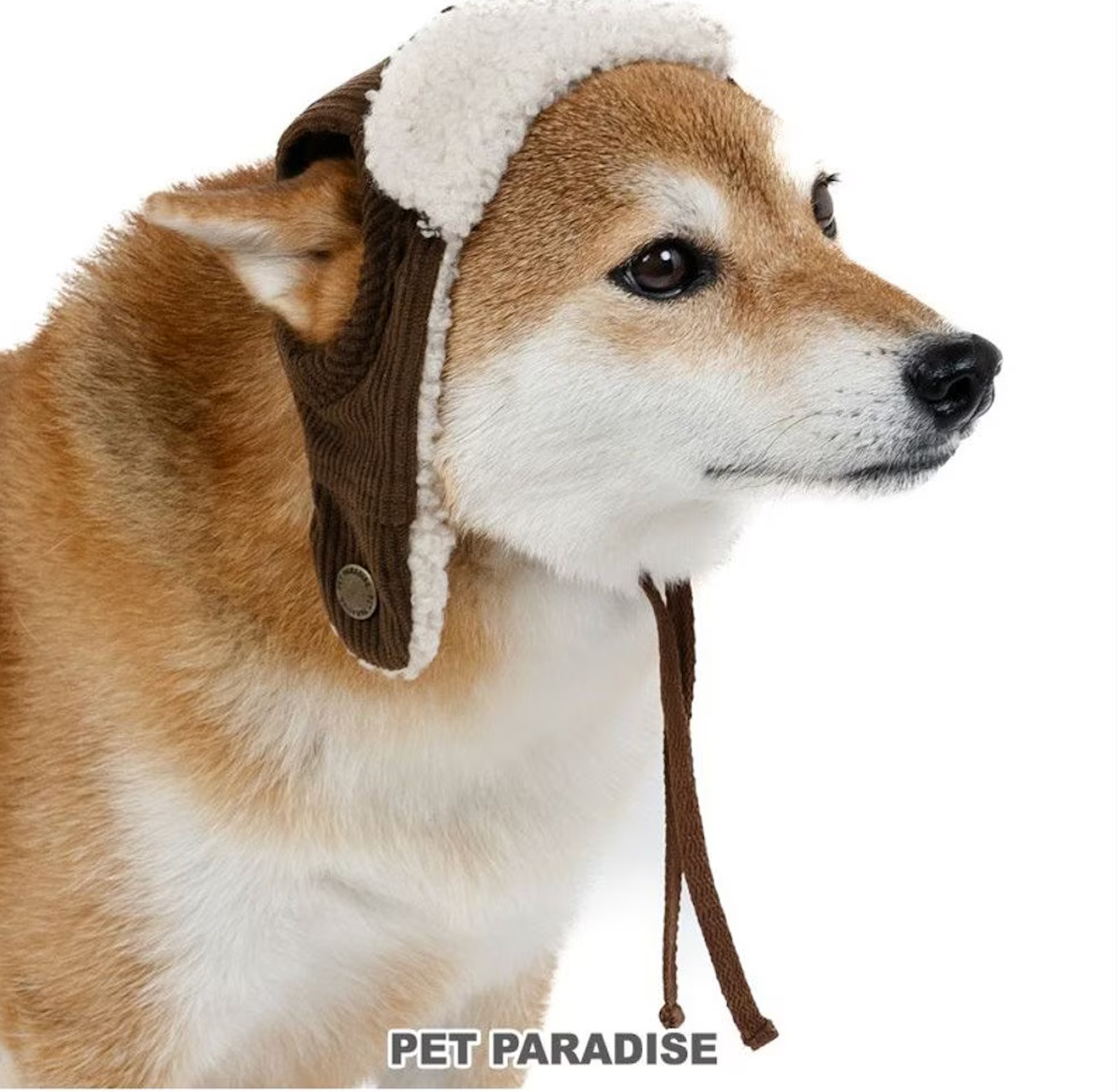 Dog clothes, winter, flight hat, boa, small and medium-sized dogs | Ranked #1, autumn and winter, warm, cute, cool, hat
