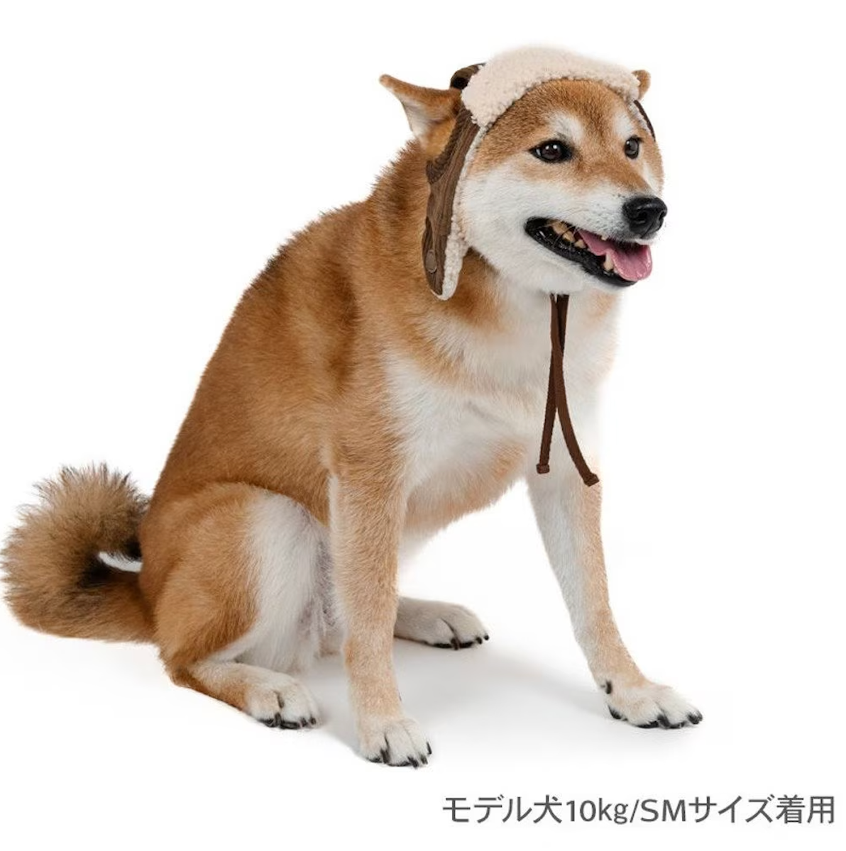 Dog clothes, winter, flight hat, boa, small and medium-sized dogs | Ranked #1, autumn and winter, warm, cute, cool, hat