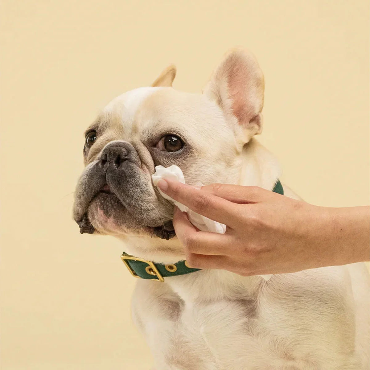 Squeaky Pet Eye Wipes - 20 Pack