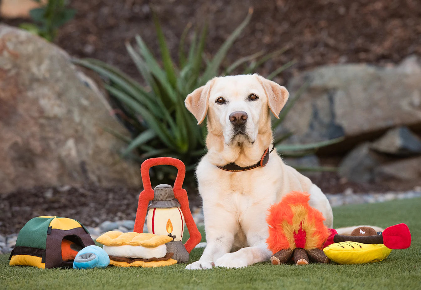 Camp Corbin Toys