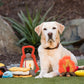 Camp Corbin Toys
