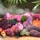 Ziwi Dog Steam & Dried Chicken with Orchard Fruits