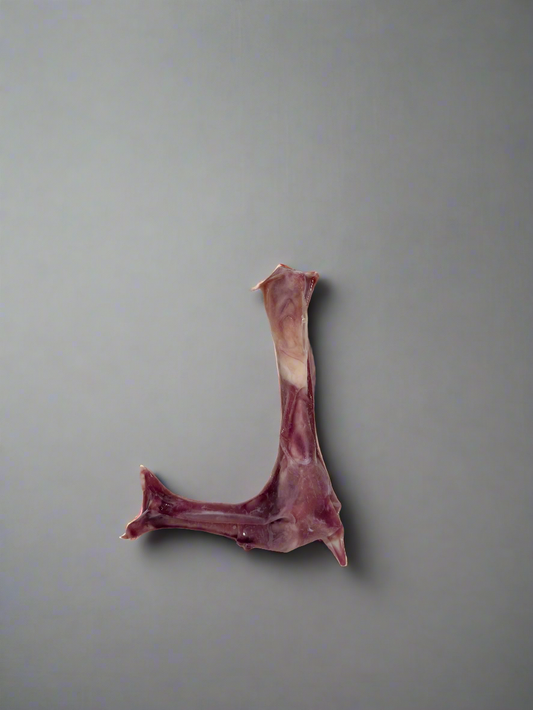 Duck Leg Bone