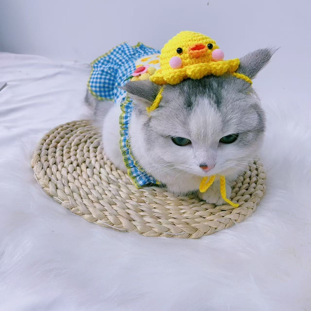 Handmade Duck Hat
