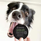 Natural Nose and Paw Balm for Dogs 50g