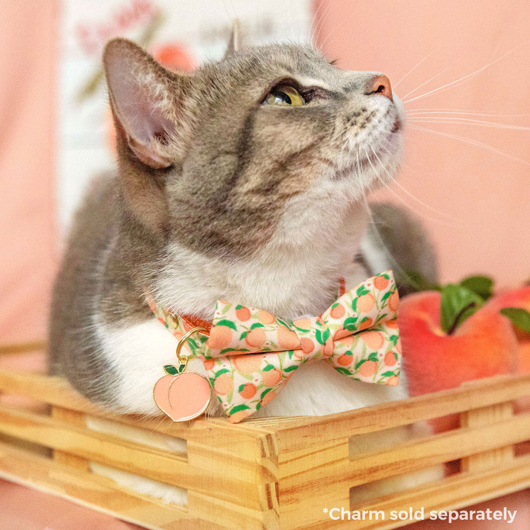 Bow Tie Cat Collar Set - "Just Peachy" - Peach Cat Collar w/ Matching Bowtie / Peaches, Fruit, Spring, Summer / Cat,