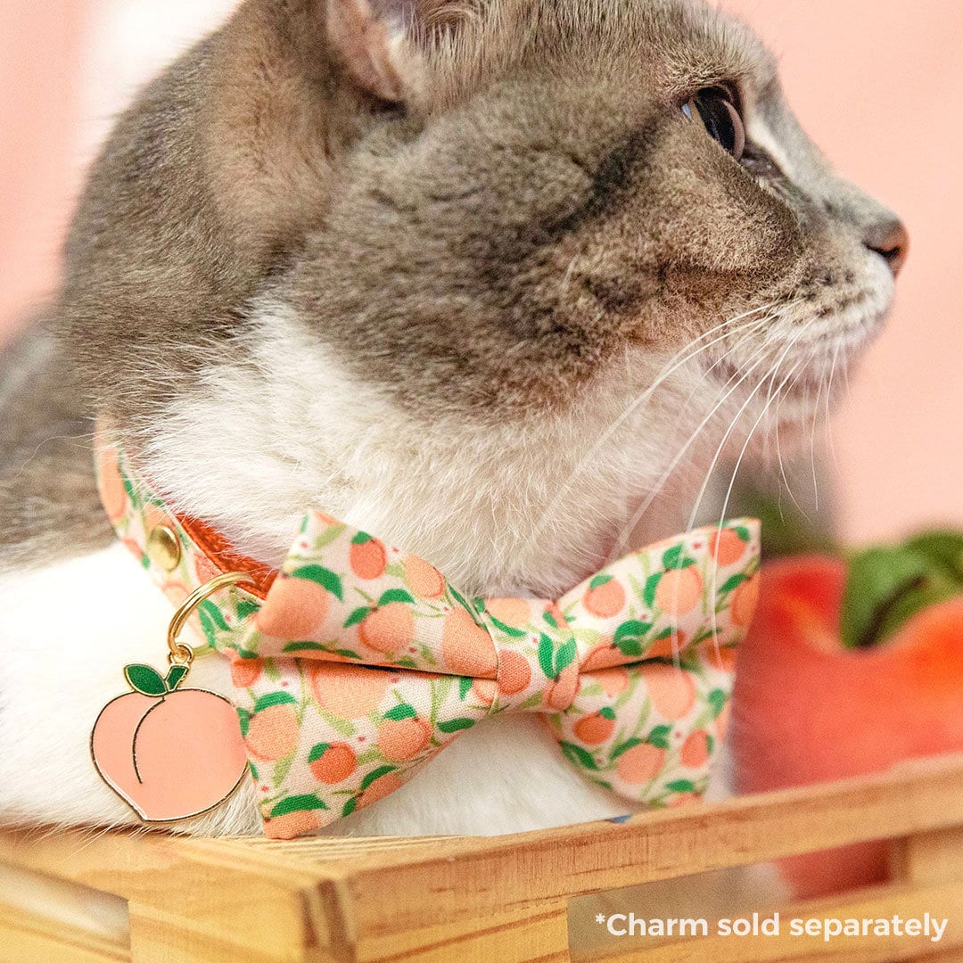 Bow Tie Cat Collar Set - "Just Peachy" - Peach Cat Collar w/ Matching Bowtie / Peaches, Fruit, Spring, Summer / Cat,