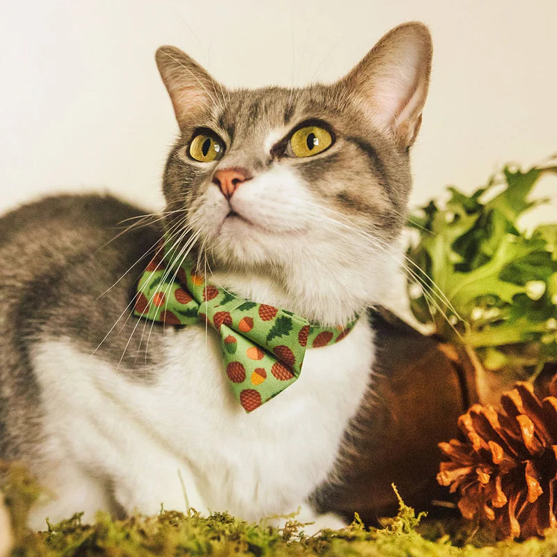 Bow Tie Cat Collar Set - "Woodland - Moss" - Pine Cones & Acorns Forest Green Cat Collar w/ Matching Bowtie / Cat