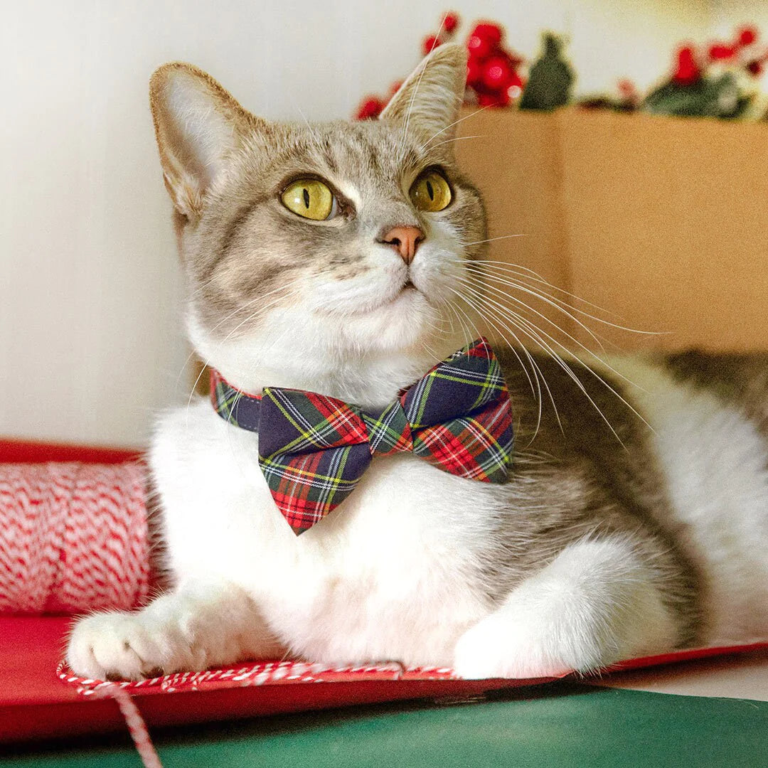 Bow Tie Cat Collar Set - "Canterbury" - Holiday Tartan Plaid Cat Collar w/ Matching Bowtie / Christmas, Winter / Cat