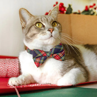 Bow Tie Cat Collar Set - 