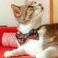 Bow Tie Cat Collar Set - "Canterbury" - Holiday Tartan Plaid Cat Collar w/ Matching Bowtie / Christmas, Winter / Cat