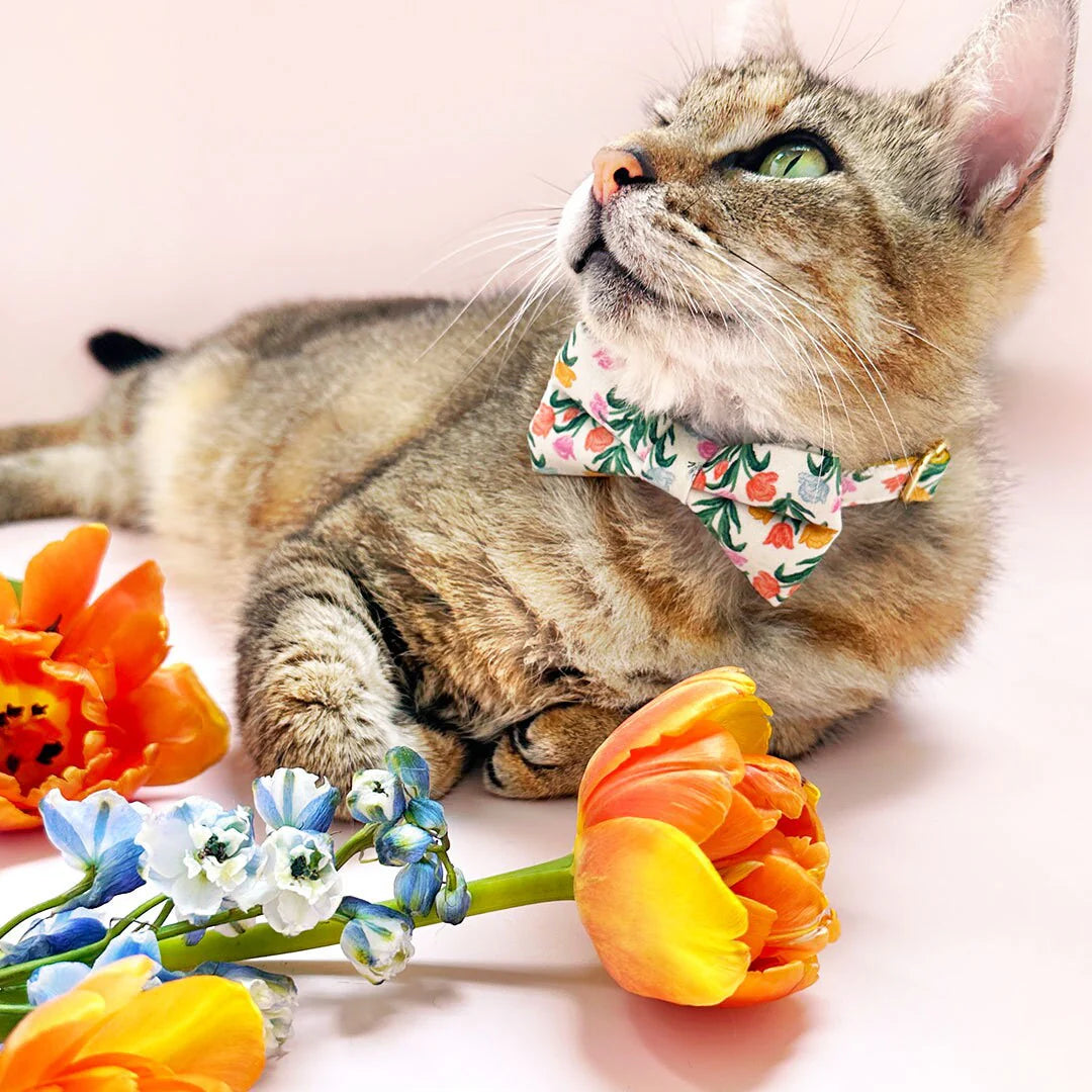 Bow Tie Cat Collar Set - "Tulip Fields - Cream" - Rifle Paper Co® Fabric Floral Cat Collar w/ Matching Bowtie / Spring, Easter / Cat