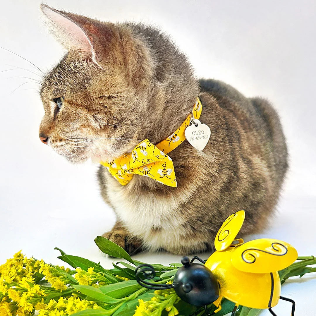 Bow Tie Cat Collar Set - "Show Me The Honey" - Yellow Bee Cat Collar w/ Matching Bowtie / Spring + Summer / Cat