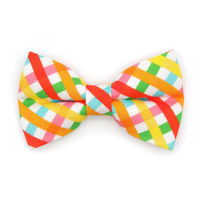 Bow Tie Cat Collar Set - "Maypole" - Rainbow Plaid Cat Collar w/ Matching Bowtie / Spring, Summer, Fiesta, Cinco, Birthday / Cat