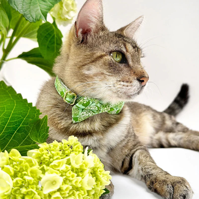 Bow Tie Cat Collar Set - "Hydrangea Hill" - Botanical Green Cat Collar w/ Matching Bowtie / Spring + Summer Floral / Cat