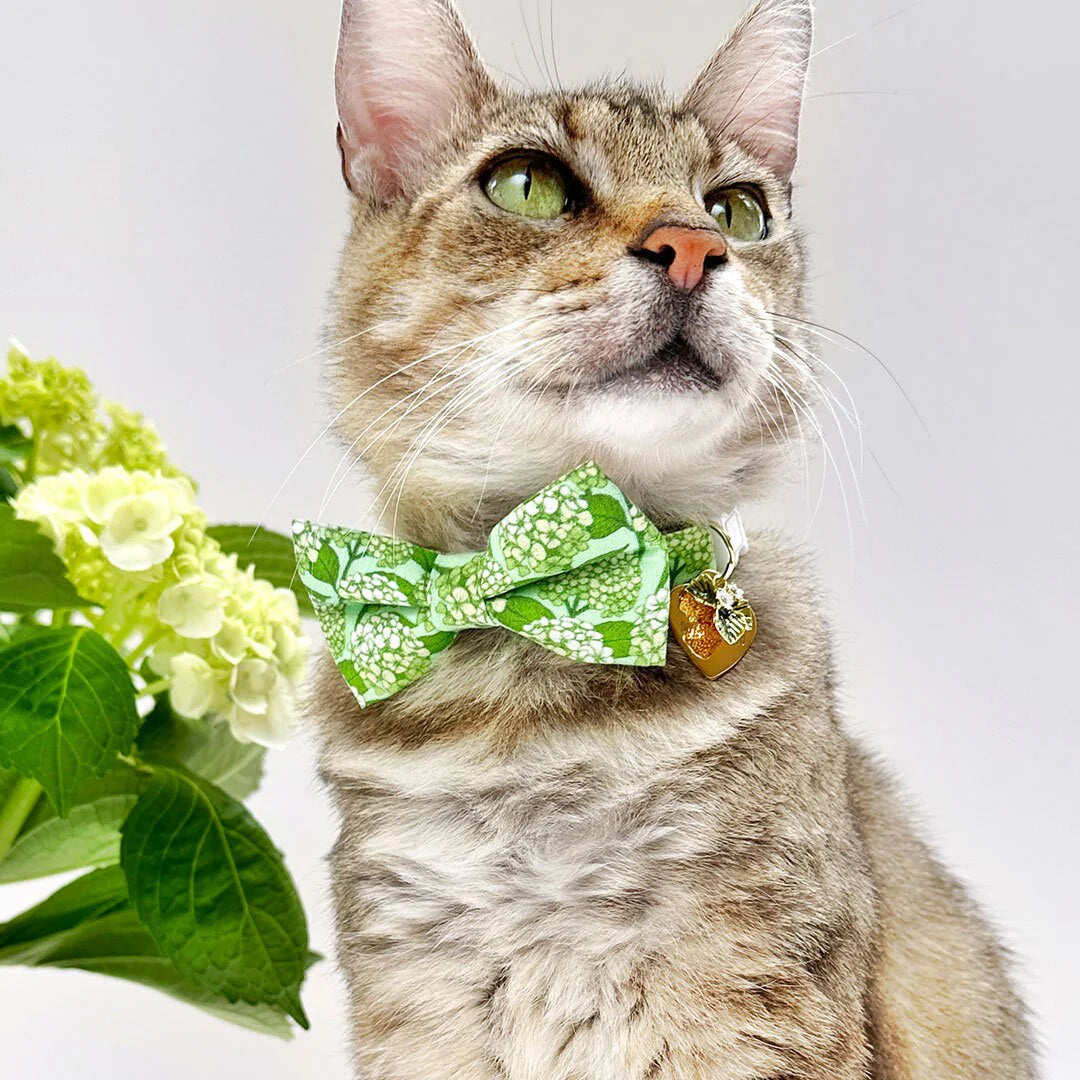 Bow Tie Cat Collar Set - "Hydrangea Hill" - Botanical Green Cat Collar w/ Matching Bowtie / Spring + Summer Floral / Cat