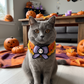 Handmade Knitted Halloween Bandana