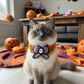 Handmade Knitted Halloween Bandana