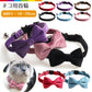 Velvet Cat Bow Tie