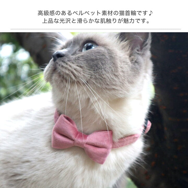 Velvet Cat Bow Tie