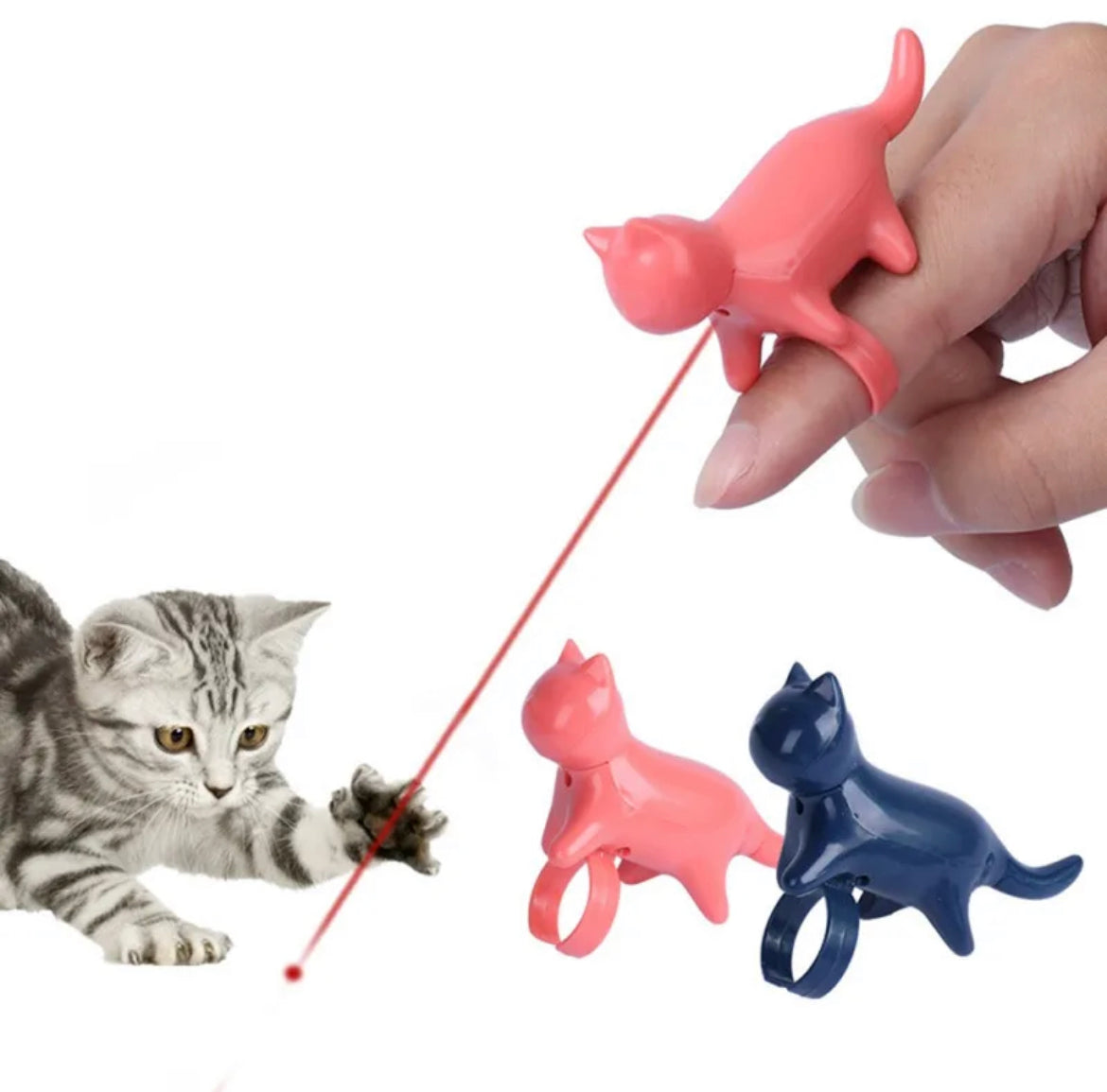 Cat Laser Ring Coloured Toy