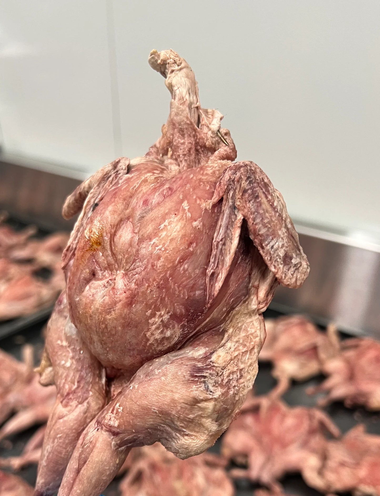Freezy Paws Whole Quail