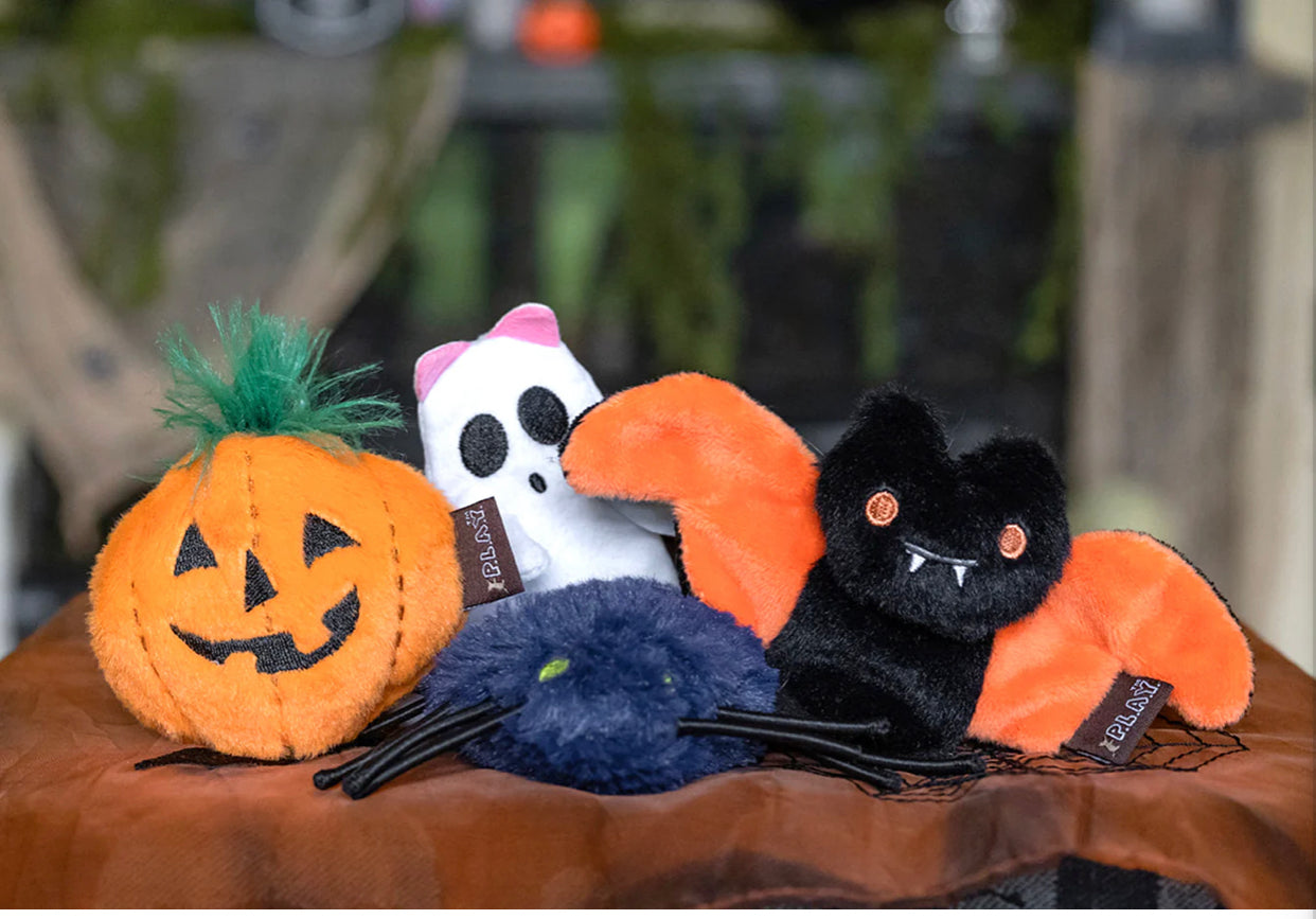 Feline Frenzy - Halloween Cat Toy Collection With Catnip