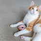 Feline Frenzy Kitty Kreme Donuts Catnip Toy