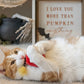 Feline Frenzy - Killer Cat Toy Collection Wit Catnip