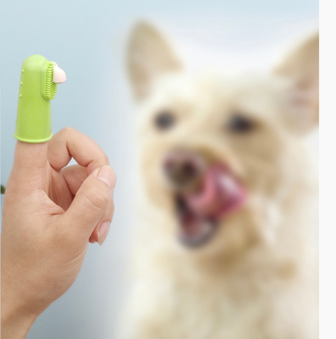 Dog/Cat Tooth Cleaner Dental Care