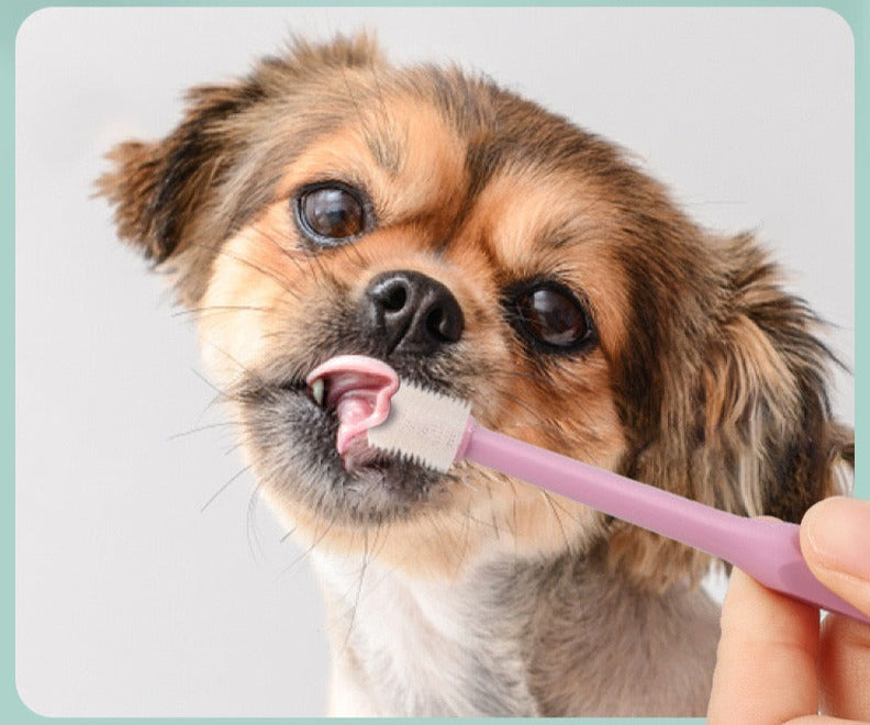 Finger Toothbrush and 360 degrees Set thepawprincipality