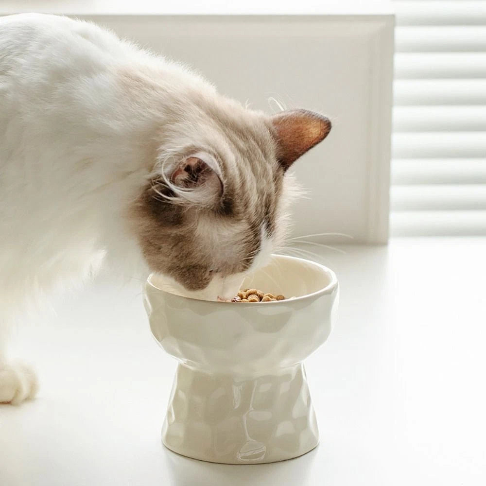 Slanted/Flat Ceramic Bowl