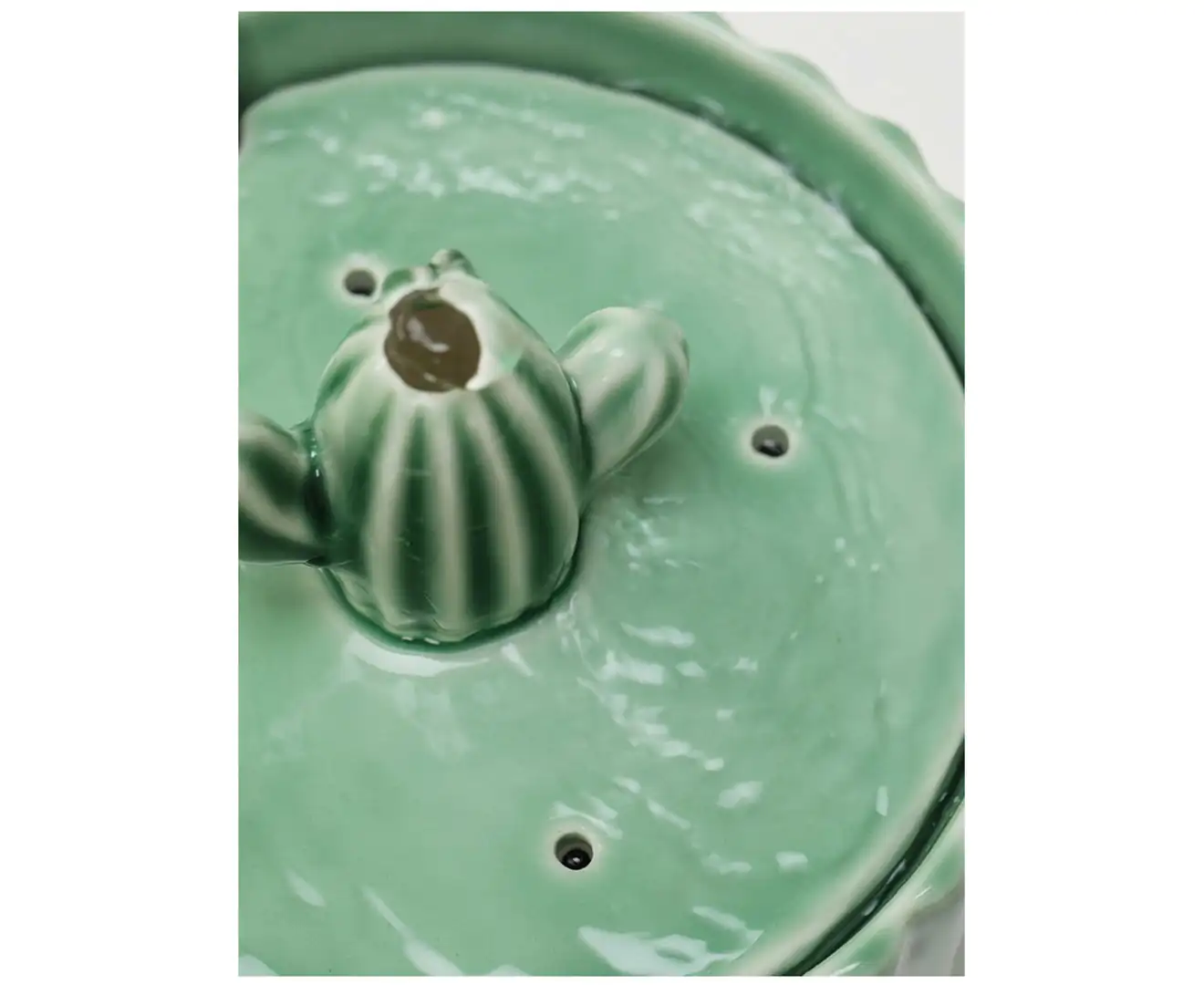 Cactus Pet Drinking Water Fountain 2L