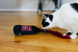 Feline Frenzy Catbernet Sauv Kicker | Red Wine