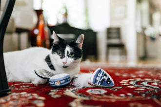 Feline Frenzy Kitty Crumble | Blue Cheese