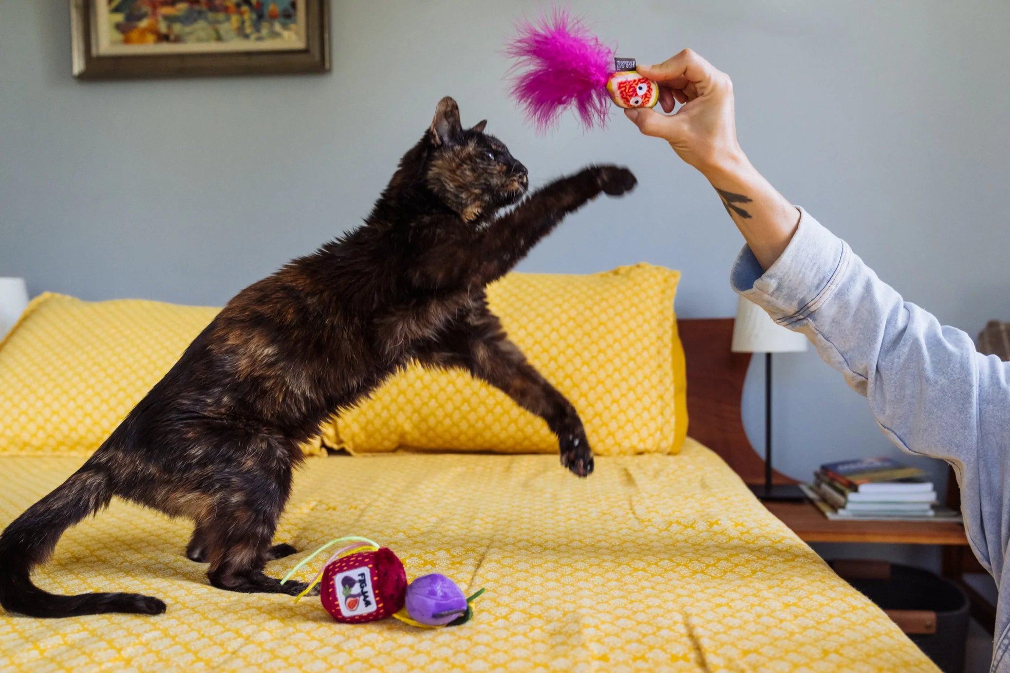 Feline Frenzy Fig N' Whiskers | Fig Jam