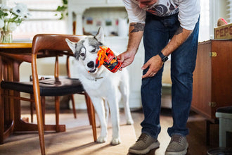 International Classic Slurp It Up | Cup Noodles